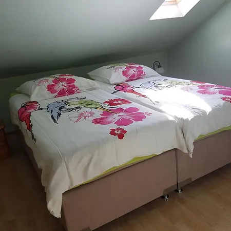 Tolles In Appartement *